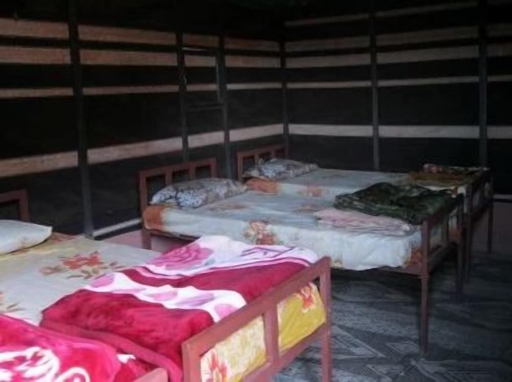 Фото Bedouin Traditions Camp