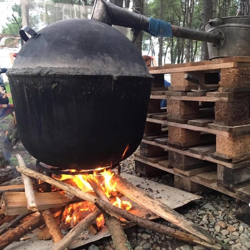 Фото Simple Pleasures Hotel