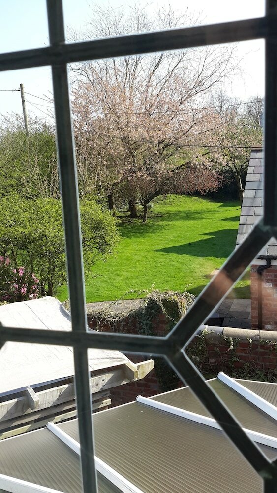 Фото The School House