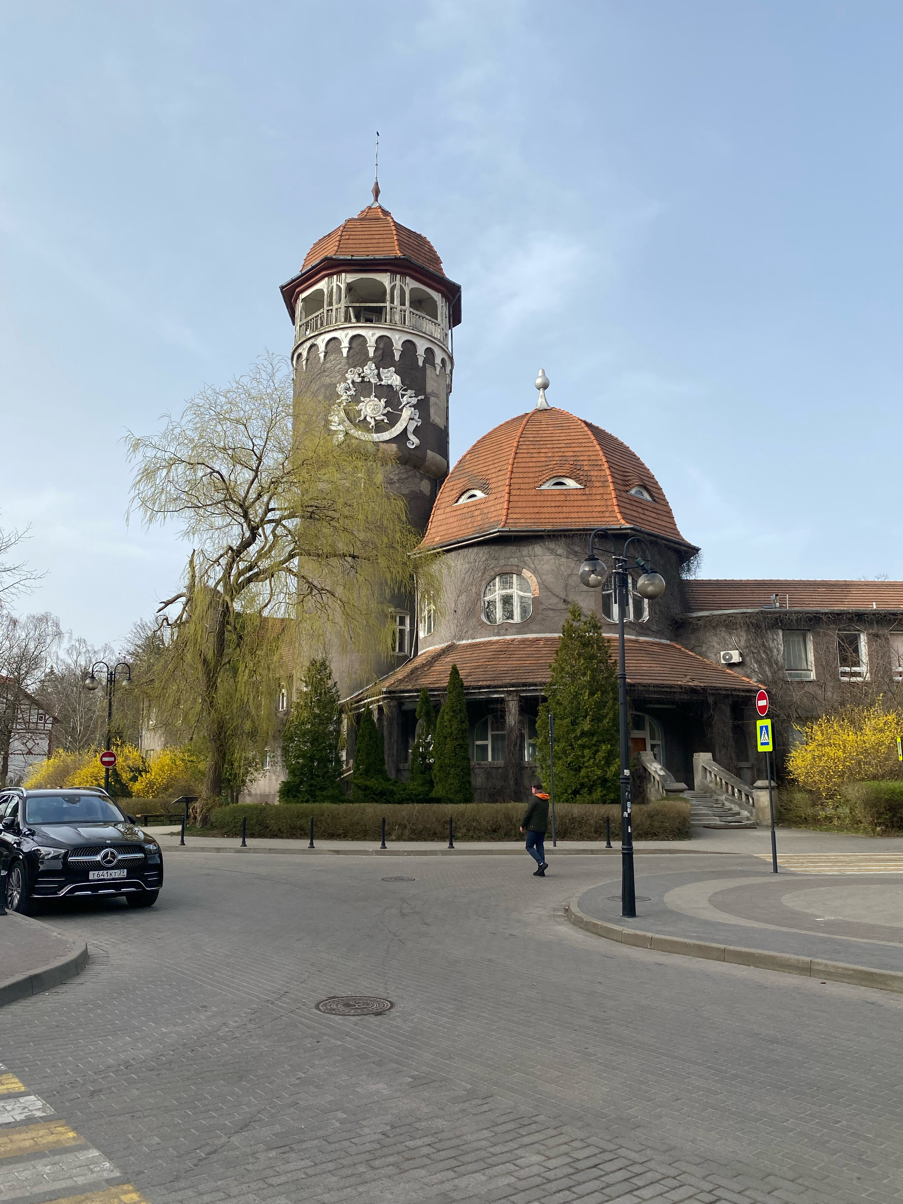 Фото Whale apart