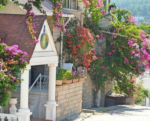 Гостиница Akyalı Butik Otel в Бодруме