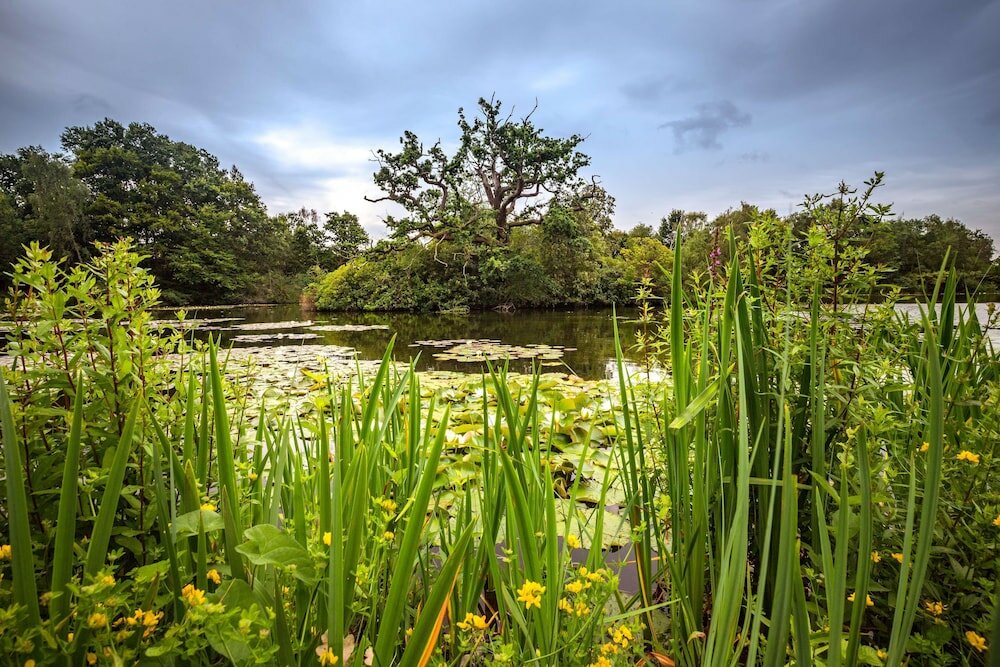 Фото Stoke Place Hotel