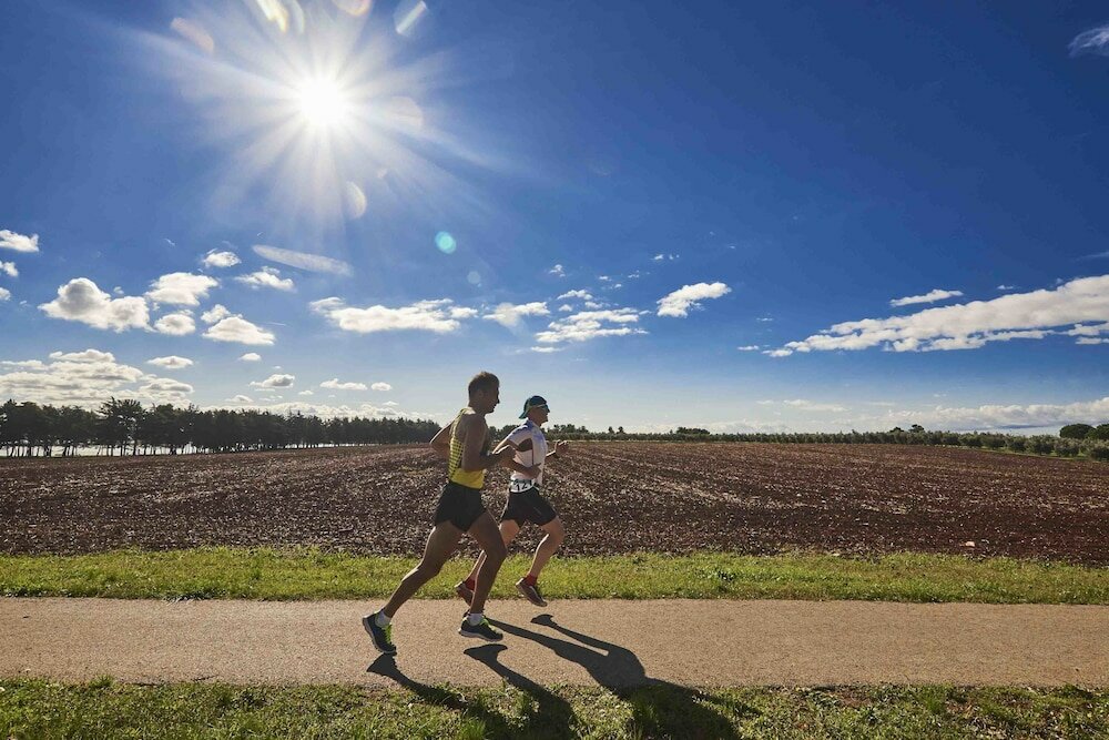 Фото Aminess Maestral Hotel