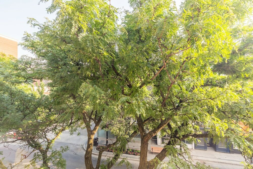 Фото Globalstay. King Street Apartments