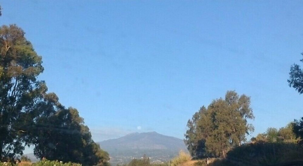 Фото Villa Aresco