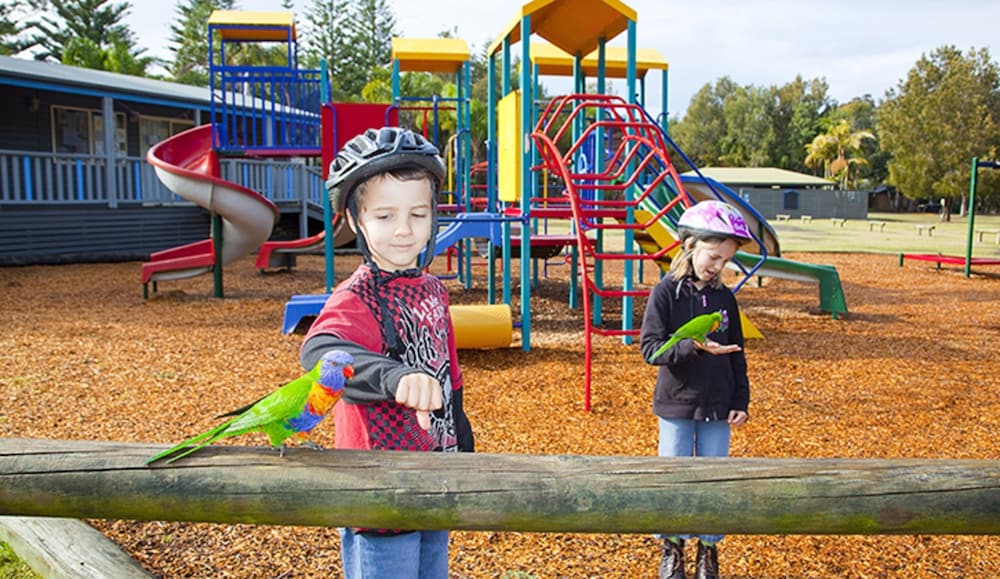 Фото Nrma Murramarang Beachfront Holiday Resort