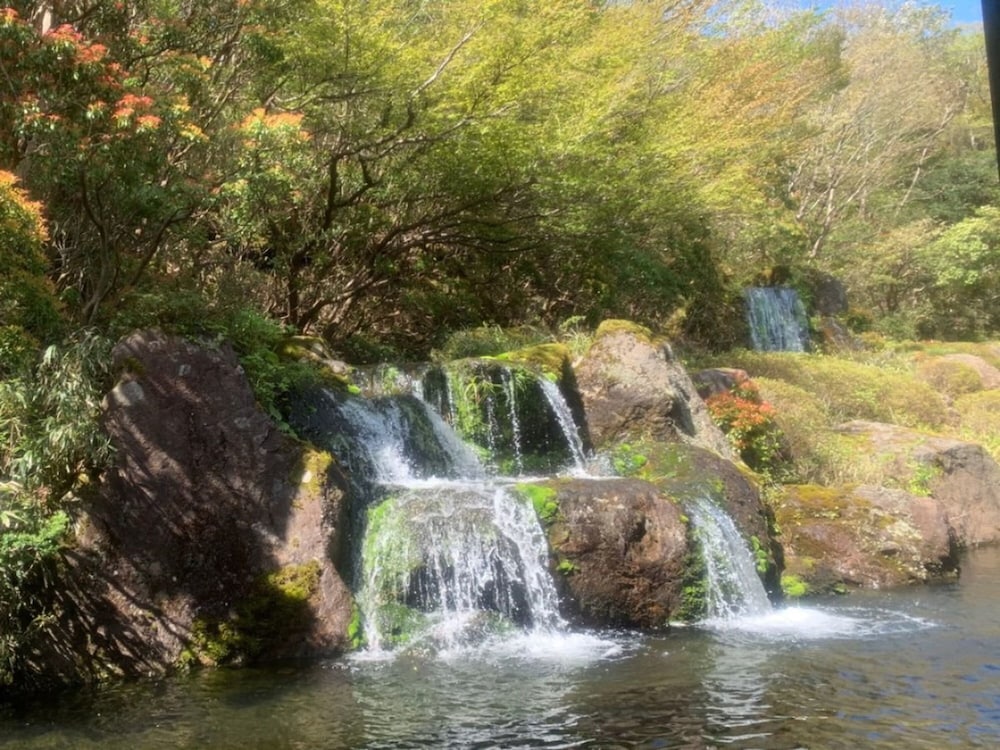Фото Hakone Yunohana Prince Hotel