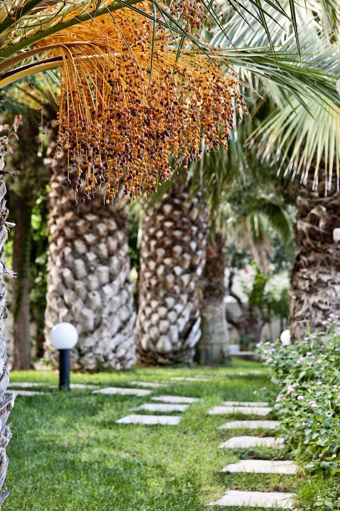 Фото Galaxy Villas