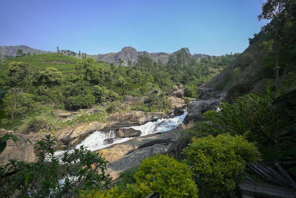 Фото Tea Valley Resort