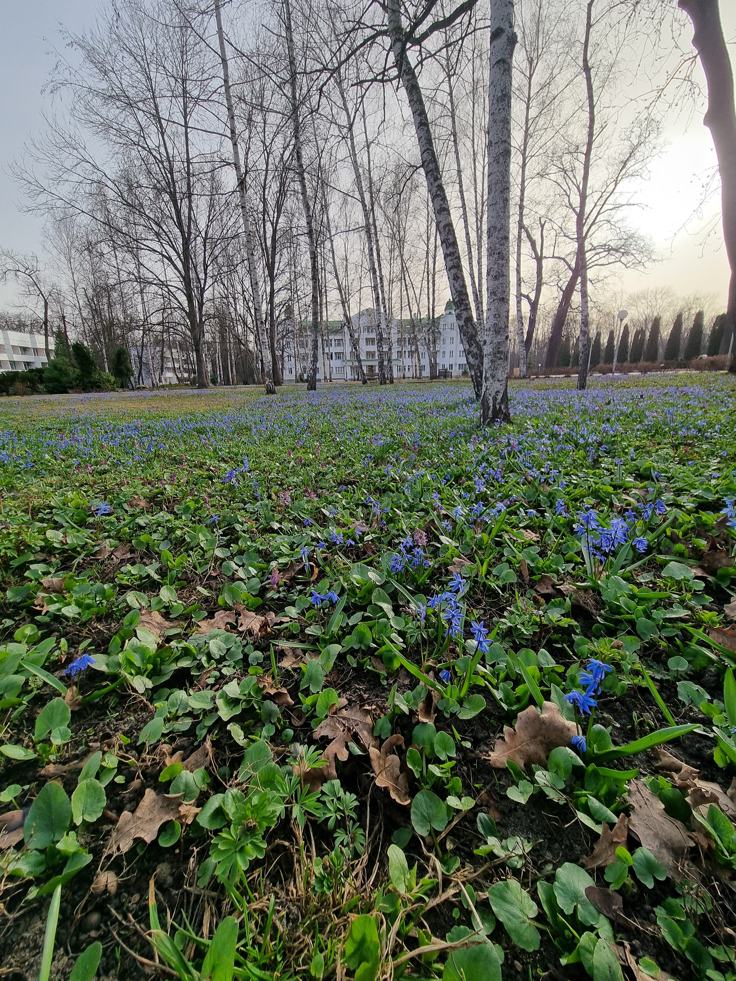 Фото Санаторий им. Ф. Э. Дзержинского