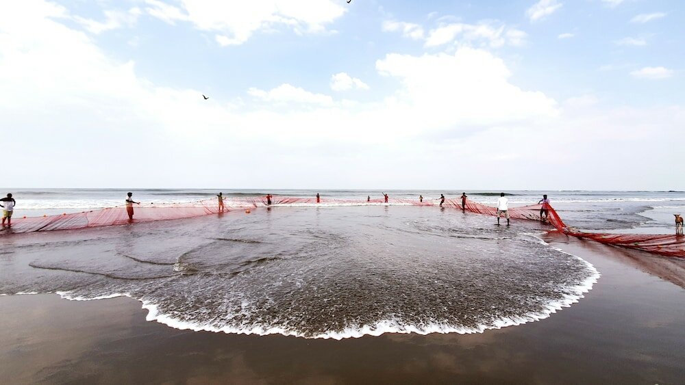 Фото The Regalia Resort