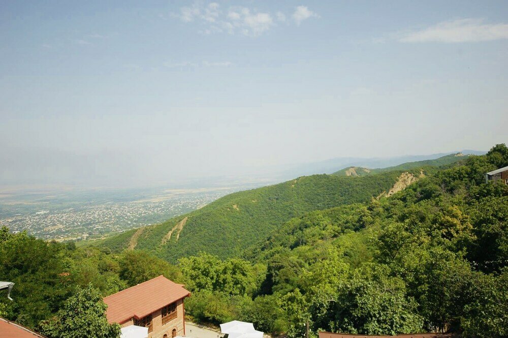 Фото Мини-отель Lelis