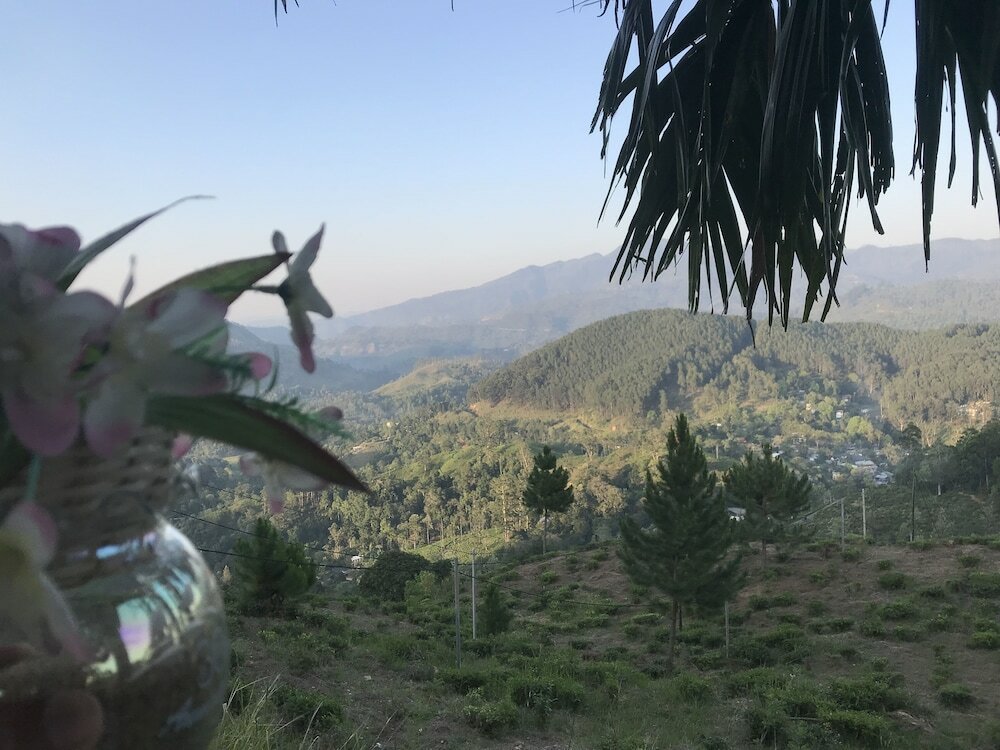 Фото Hill Forest Cottage