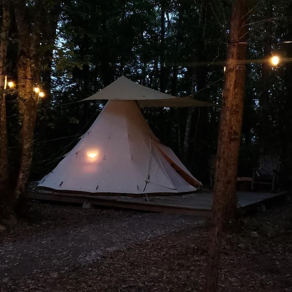 Фото Sassy Springs Retreat