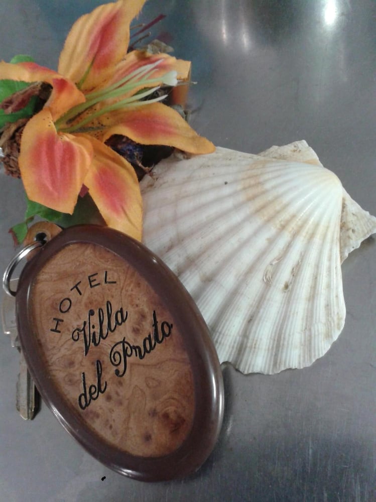Фото Hotel Villa Del Prato