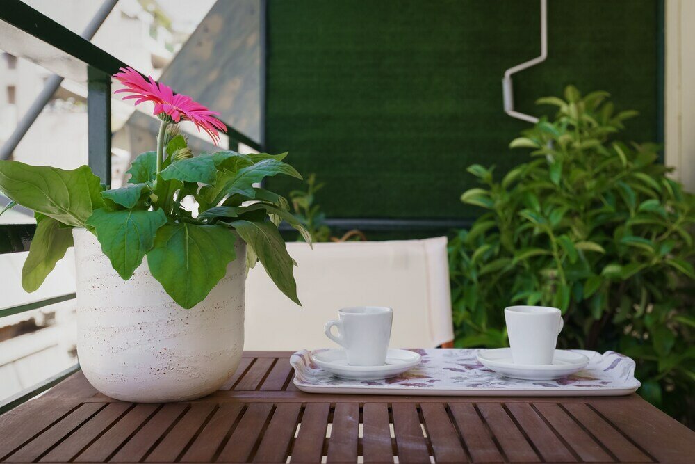 Фото Absolute Athens II