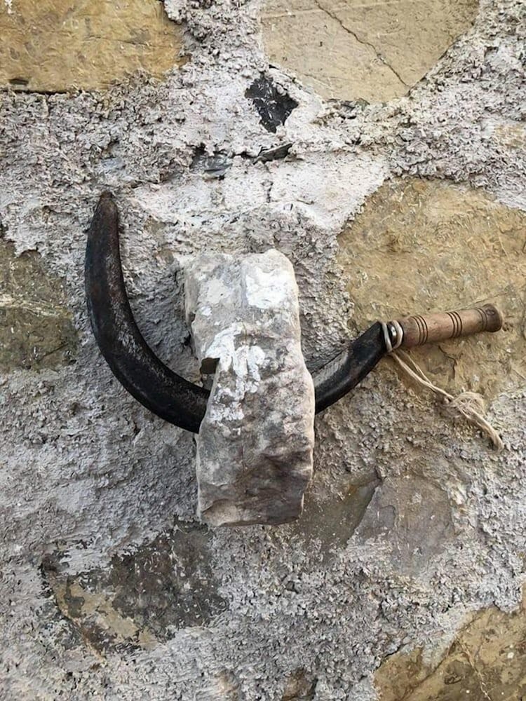 Фото Agriturismo le Cammarose