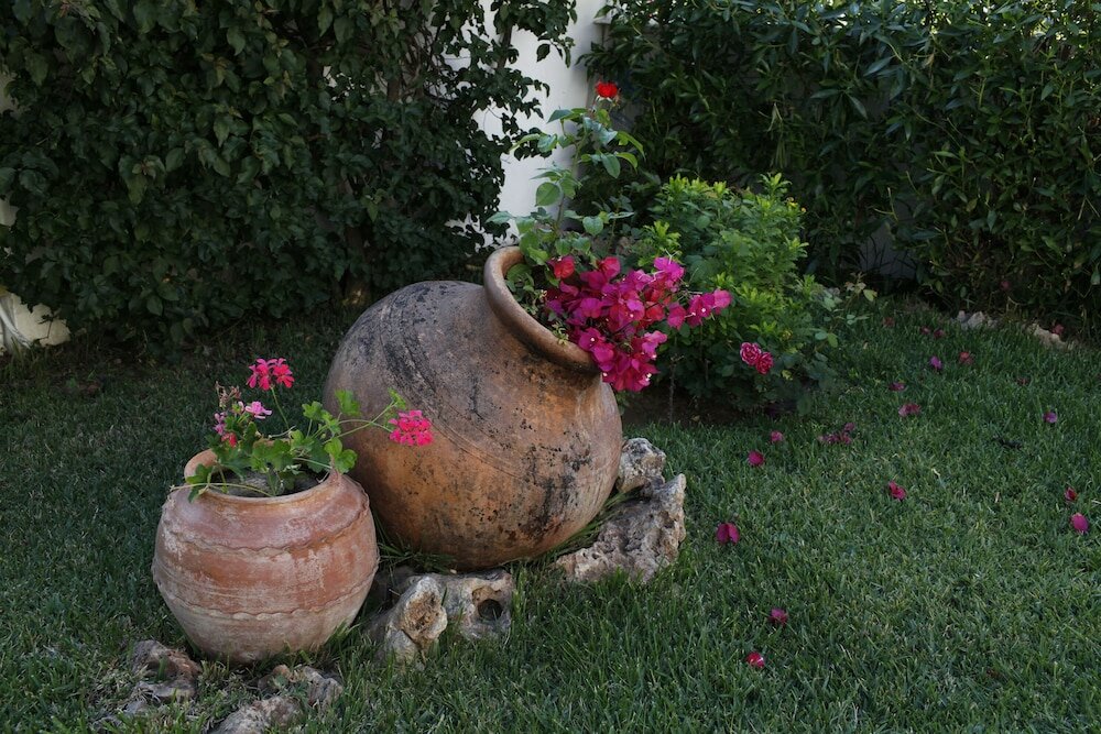 Фото Отель Muthu Balaia Sol