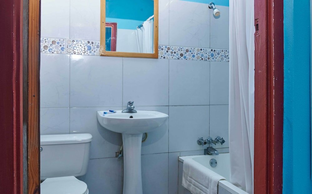 Фото The Yellow Bird