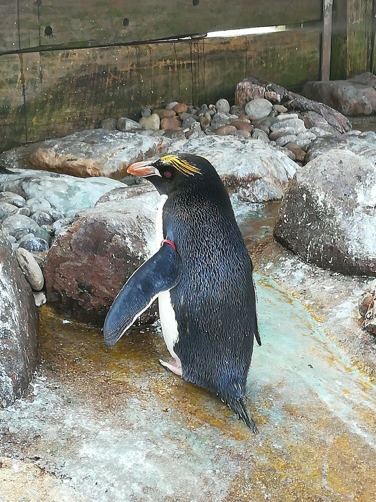 Фото Silverlands Guest House