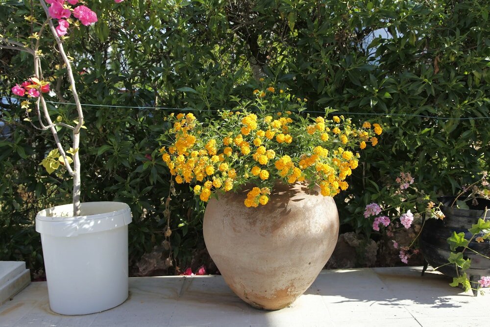 Фото Отель Muthu Balaia Sol