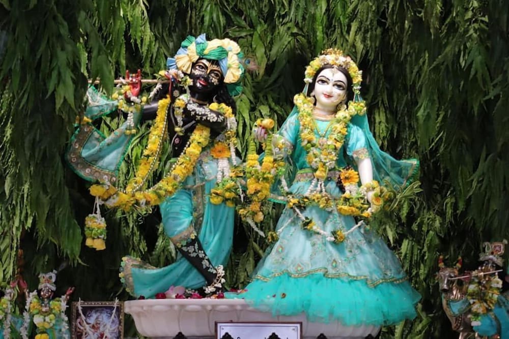 Фото Hotel Admire Inn Vashu