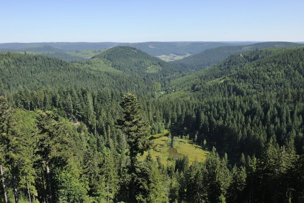 Фото Hotel Bareiss