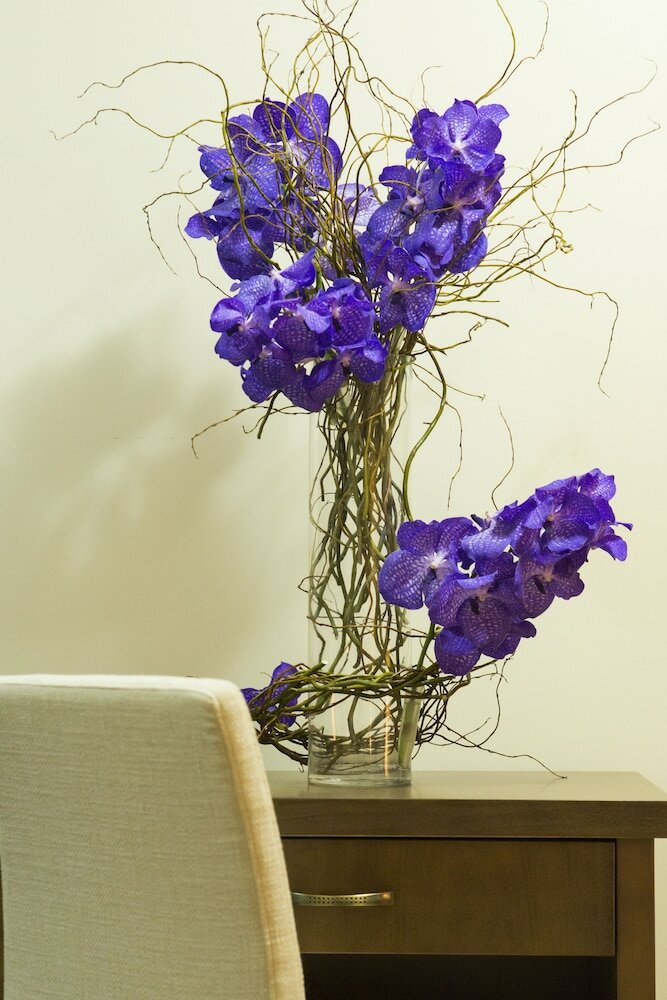 Фото Central Lux Hotel Kragujevac