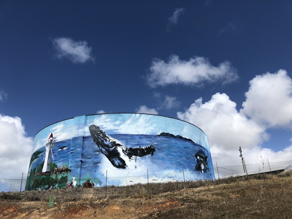 Фото Bluewater Harbour Motel