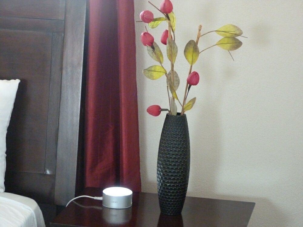 Фото Taste of Paradise