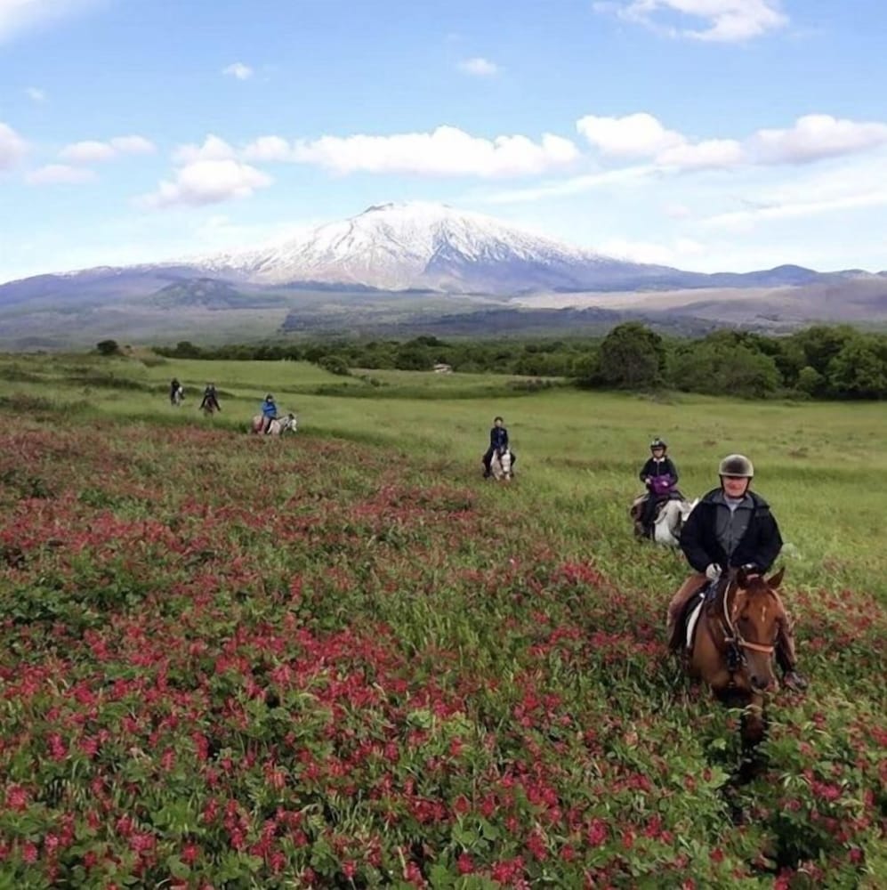 Фото La Fucina di Vulcano