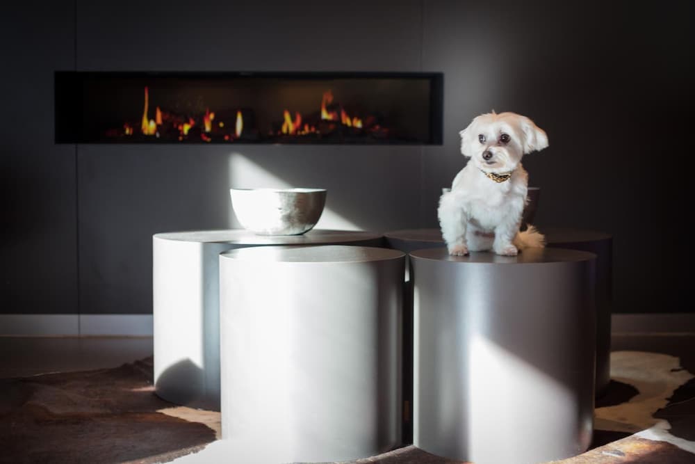 Фото Relexa hotel München