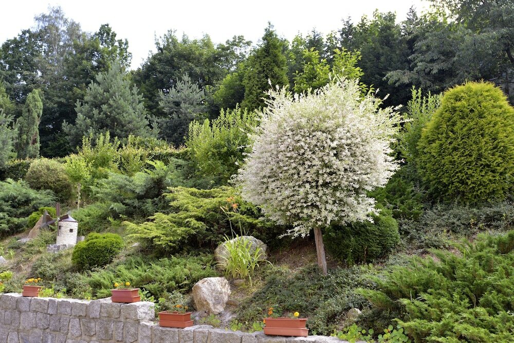 Фото Penzion Jasmín