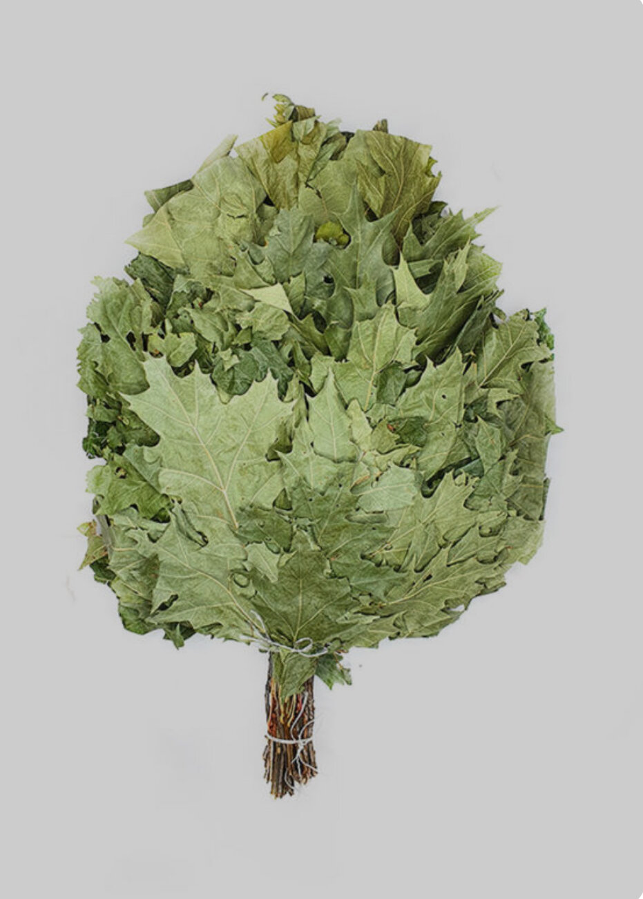 Фото Павловские купели