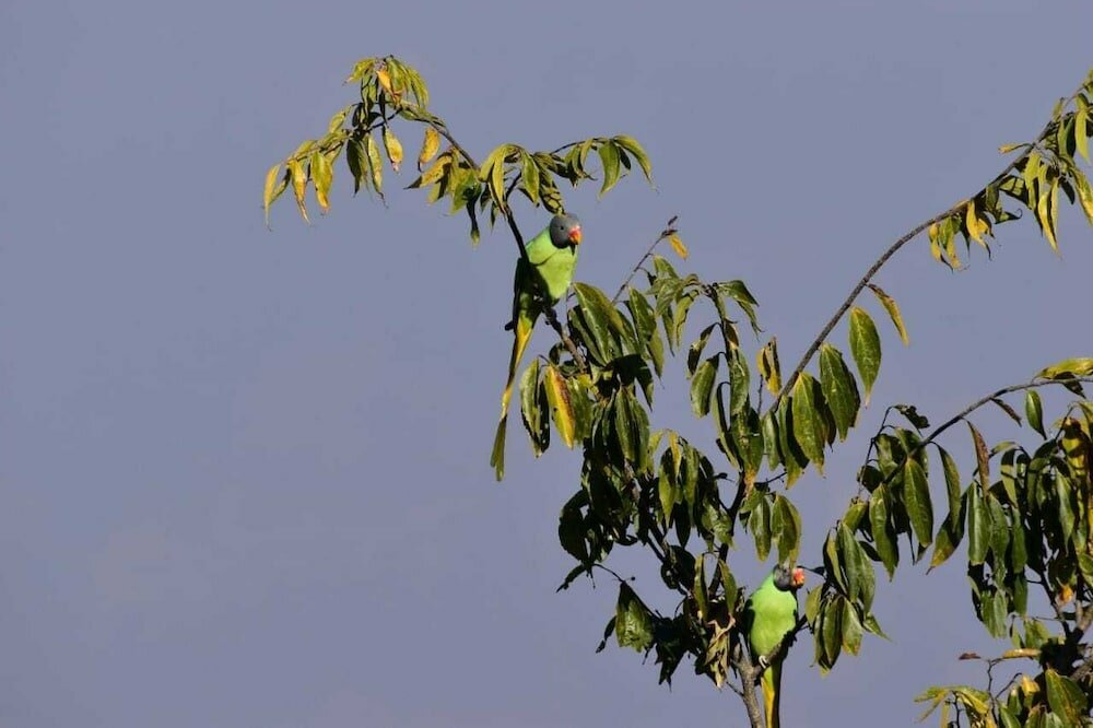 Фото Kasar Himalaya Holiday Home