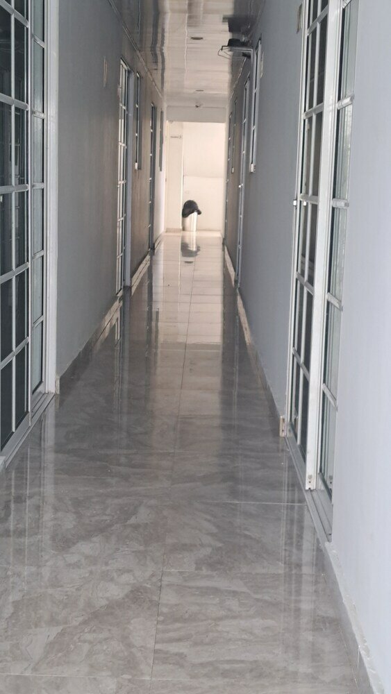 Фото Hotel Ocean Paradise