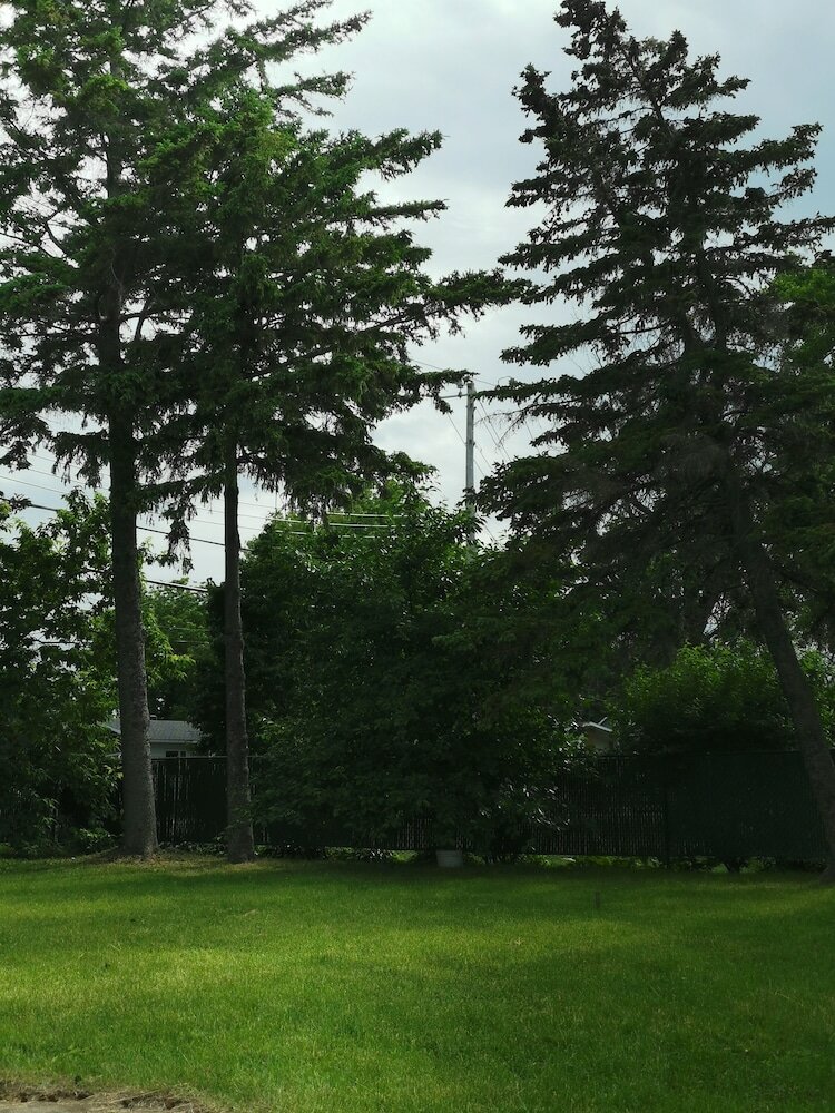 Фото Motel Sainte Catherine