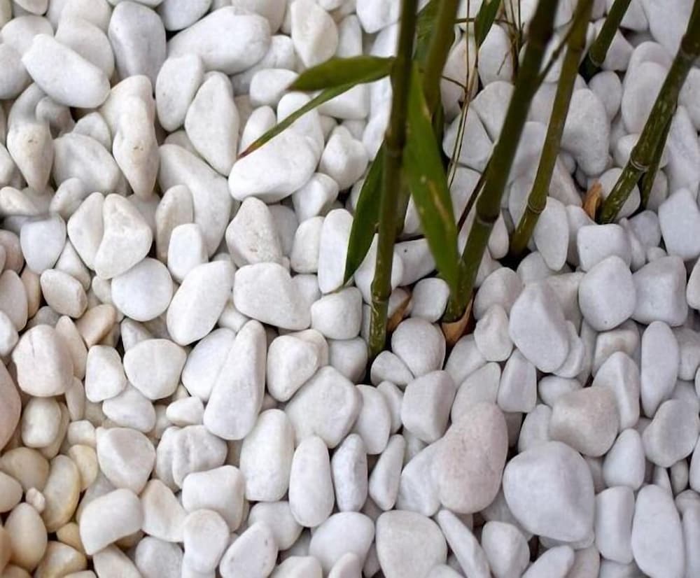 Фото Atrium Hotel