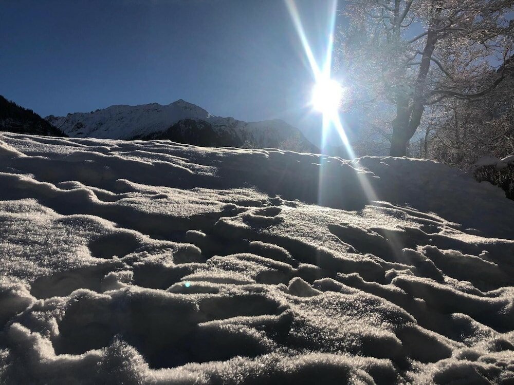 Фото Hotel Ladina