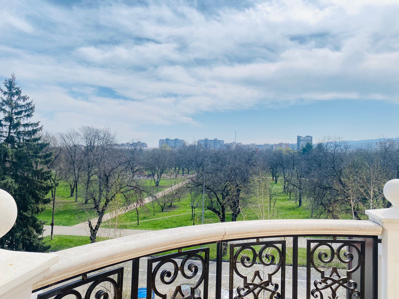 Фото Ореховая роща