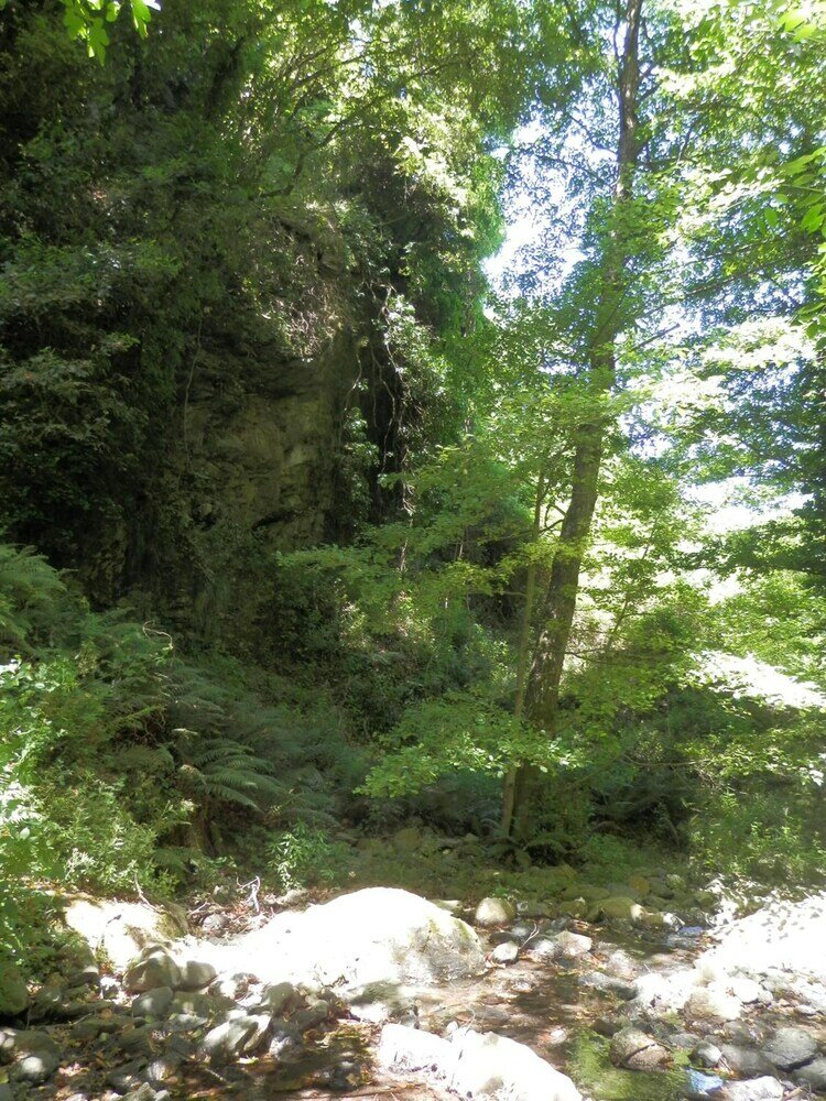 Фото La Quercia Agriturismo