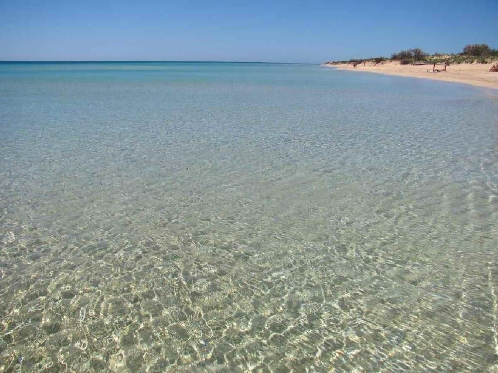 Фото Dolce Mimì