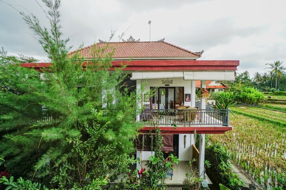 Фото Molecha Guest House