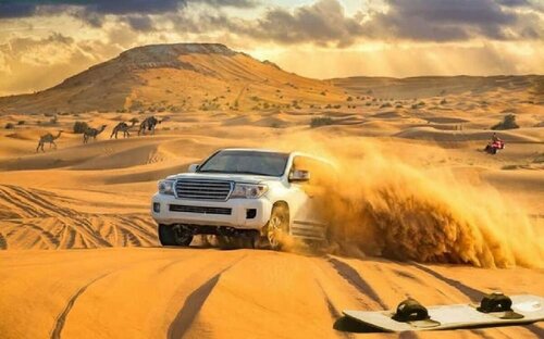 Гостиница Camp Desert Trips