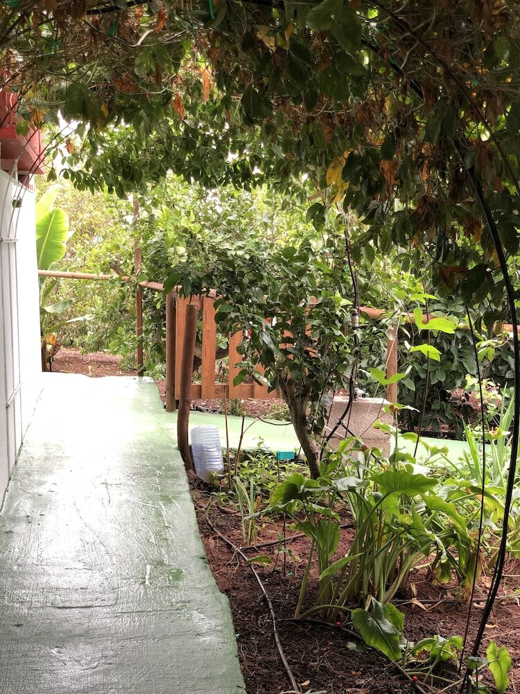 Фото Los Viejitos EN Firgas