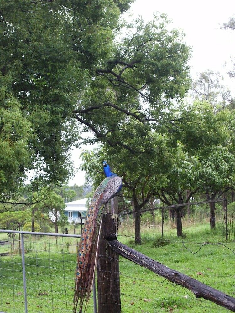 Фото Lagoon Pocket B&b