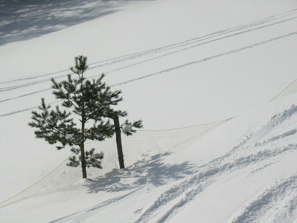 Фото Okuyama Pension Radish