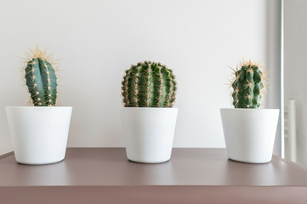 Фото Aurà - Guest House Iblea