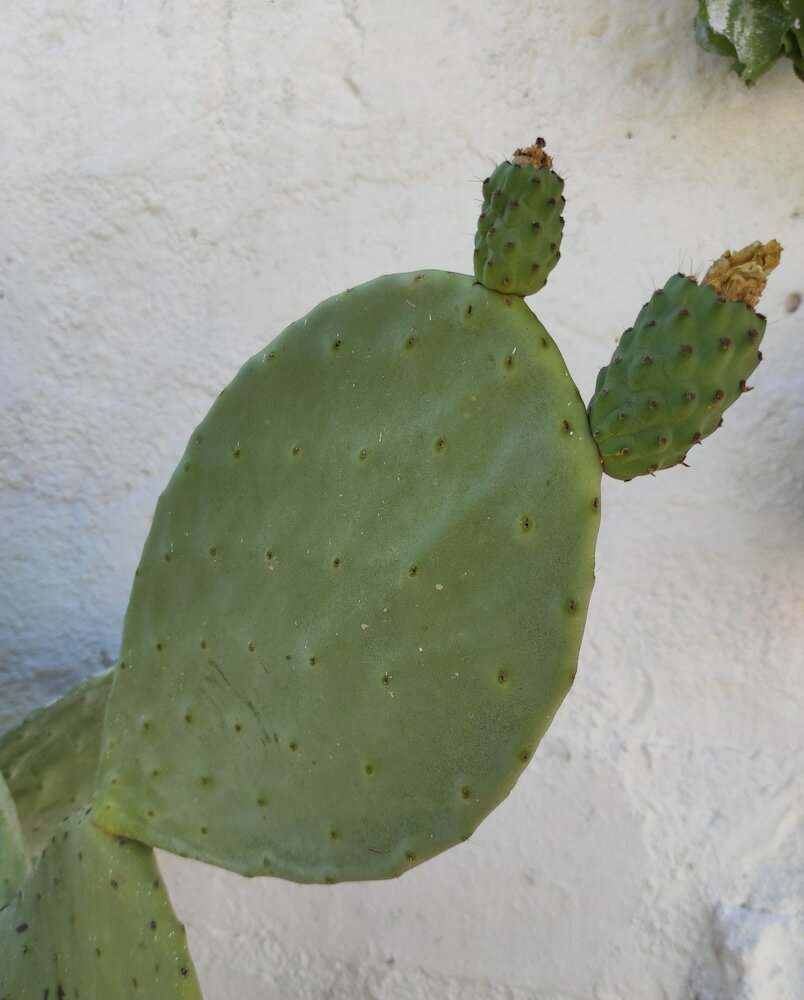 Фото Borgo Santuri