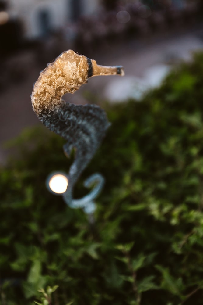 Фото The Harbour - Luxury Living